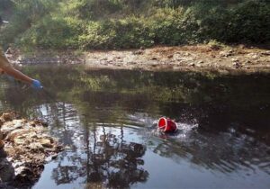 pencemaran sungai citarum