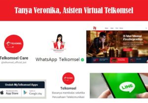 Syarat Layanan Veronika Asisten Virtual