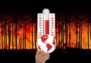 Global Warming Dapat Menciptakan Peluang Usaha