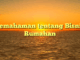 Pemahaman tentang Bisnis Rumahan