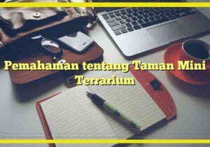 pemahaman tentang taman mini terrarium