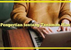 pengertian tentang tanaman hias