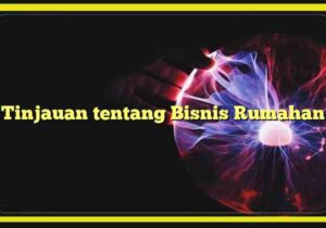 tinjauan tentang bisnis rumahan